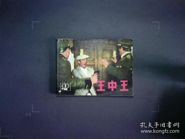 正版王中王平特一肖，深度解析與探索，正版王中王平特一肖深度解析與探索揭秘