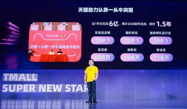 王中王357期指一生肖，深度解讀與SEO優(yōu)化策略，王中王357期生肖深度解讀與SEO優(yōu)化策略指南